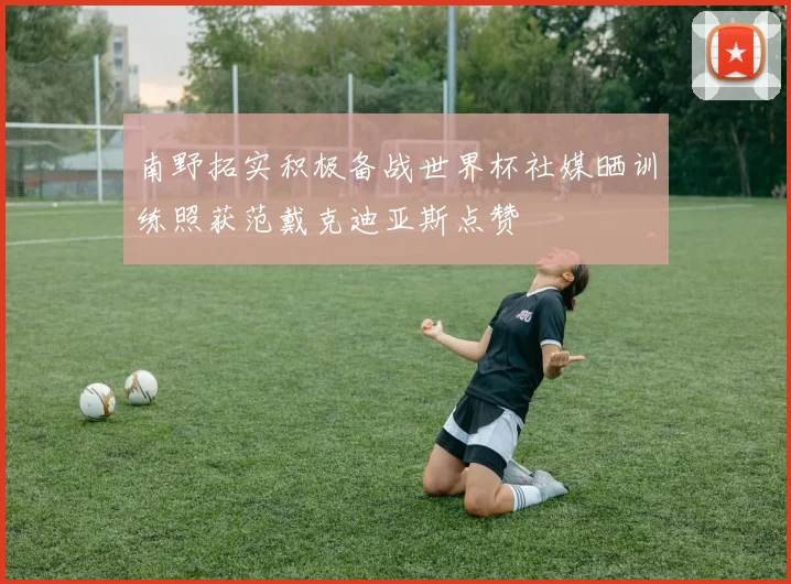 南野拓实积极备战世界杯社媒晒训练照获范戴克迪亚斯点赞
